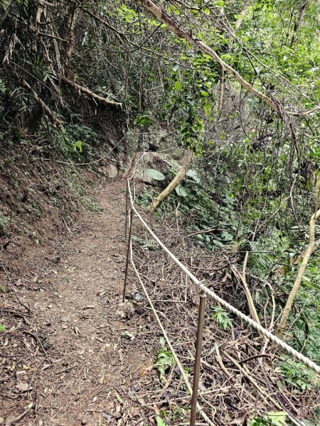 馬胎古道、馬胎二期古道、南坪古道2986008