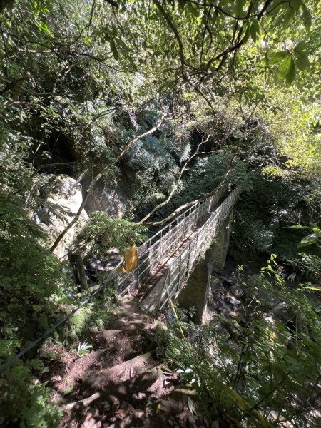 2025山之精靈2910557