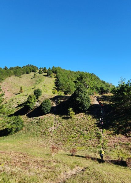 【中級山】馬武霸山，實至名歸的百岳觀景台2937733