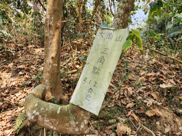 小百岳No.74⛰大崗山3025124