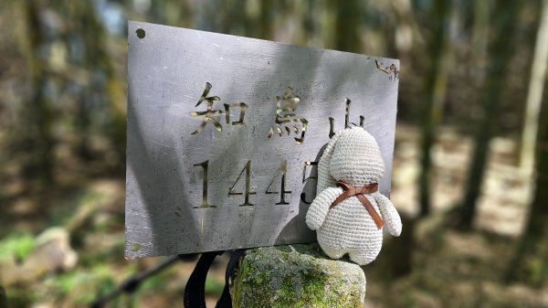 【四大天王山O型縱走未竟之旅：封山中的靜謐與省思】解鎖嘉義竹崎四大天王山、知鳥山。