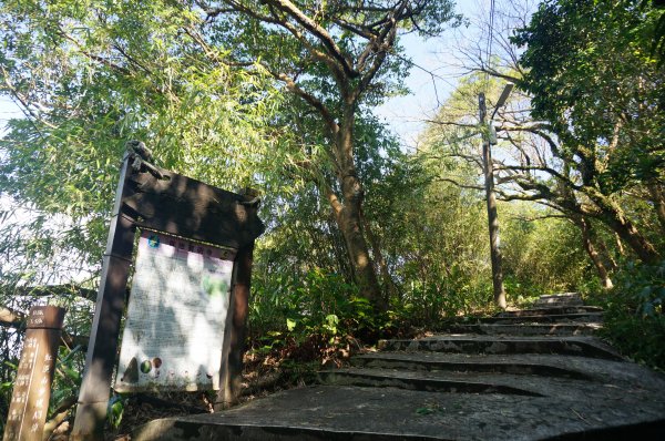 紅淡山步道2021170