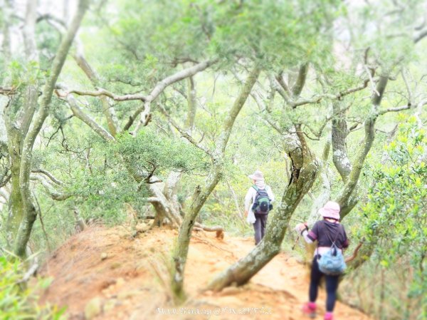 《苗栗》心靈之旅｜火炎山步道O繞南鞍古道201804212890665