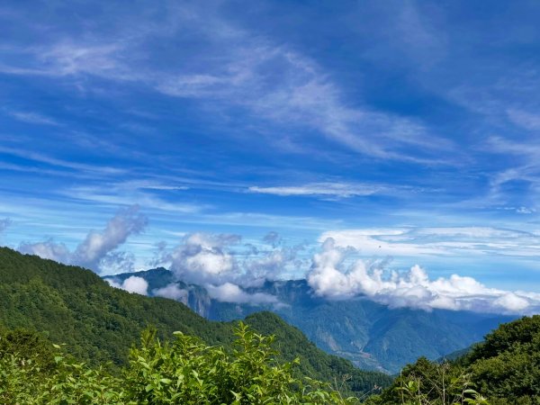 新中橫看玉山 首訪鹿林神木2837037