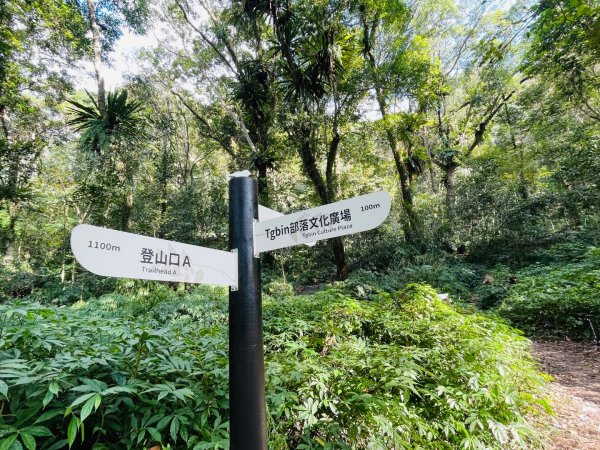 1141129巨人之手｜雪山坑登山步道2949153