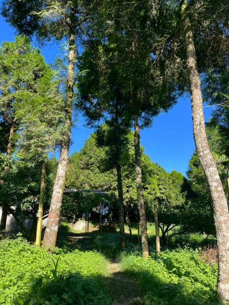 2025/6/28馬那邦山2823663