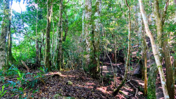 油羅山(一上三下)2959136