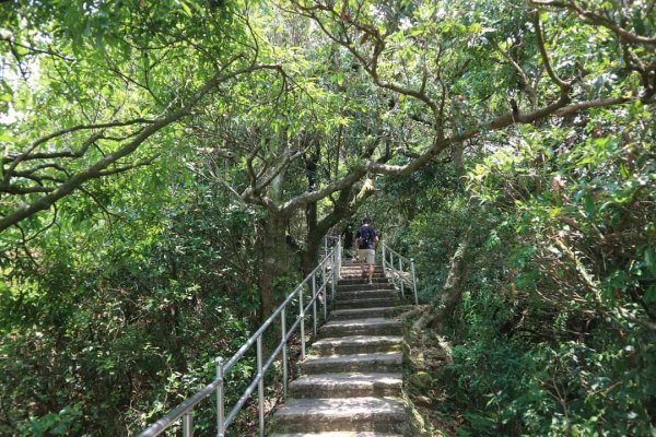 小百岳NO12  汐止大尖山 縱走海拔641公尺 四分子尾山2228915