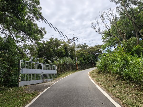 [微笑山線_第一段] 2026_0725 大棟山系_大同山3101725