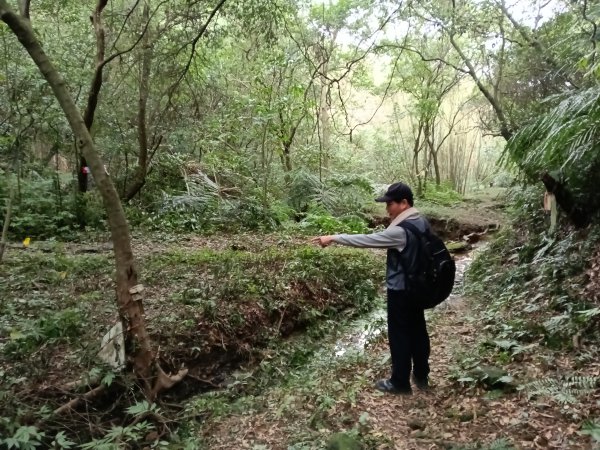 基隆市三層山+湳子大崙+淡基橫斷古道+面桶寮土地公2982224