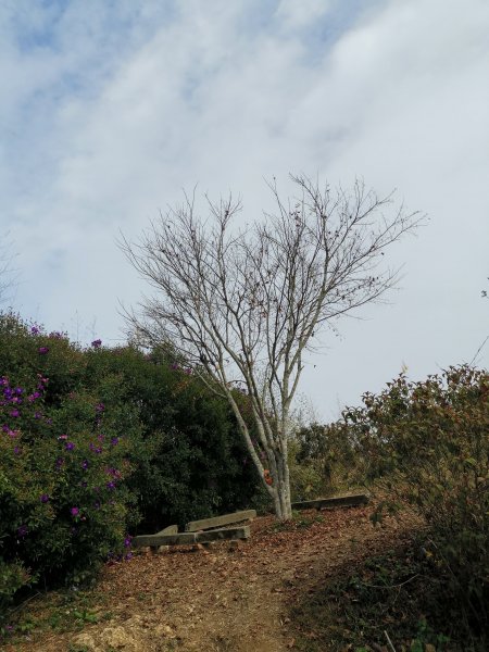 2019-12-20_關刀火炎鐵砧山868676