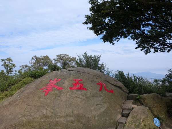 2025-06-01 五進五出九五峰2803010