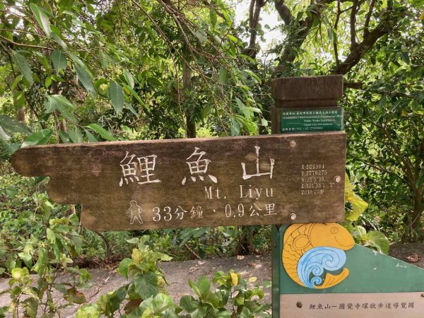 2022.09.10【臺北大縱走第五段】大湖公園-劍潭（鯉魚山、碧山巖、忠勇山、文間山、劍潭山）1839880