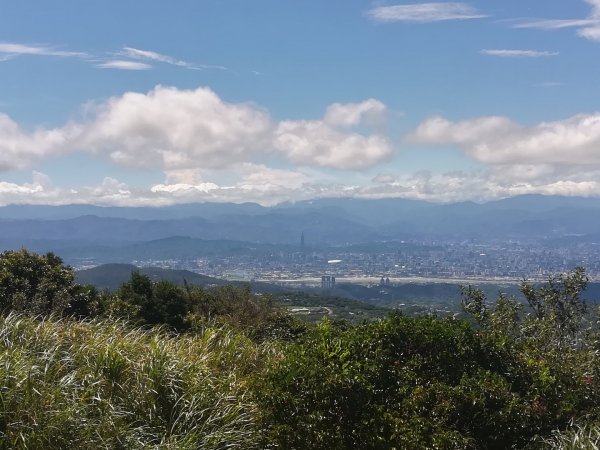 冷苗步道-七星公園-夢幻湖-冷水坑O形668589