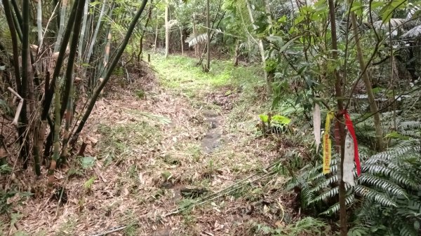 月眉洞步道-仙洞湖山未果3115489