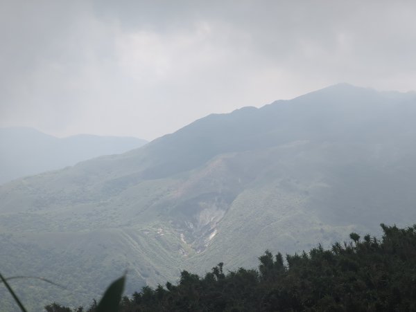 2025.05.17－大屯山步道下清天宮2790031