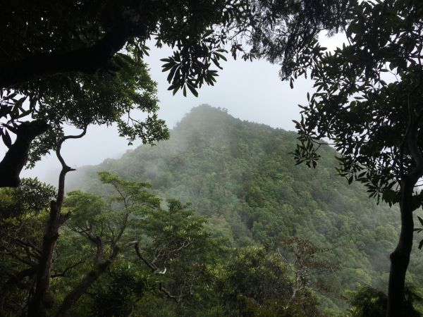 2018/06/18高台山連走島田三山353783