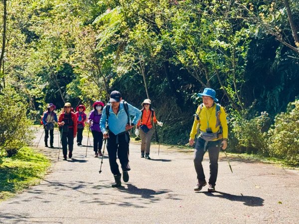 二格山走南邦寮山經草湳福德宮回二格公園3005496