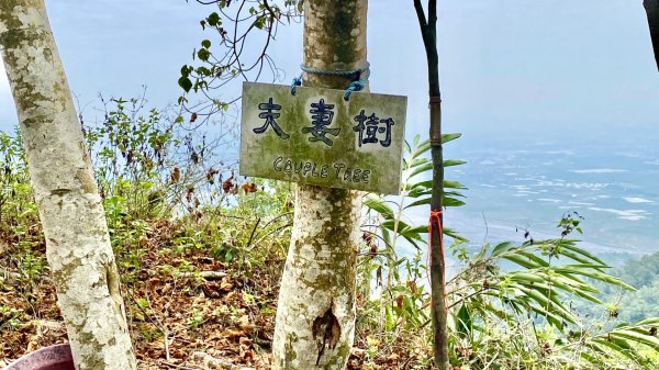 棚集山(小百岳#78)2800389