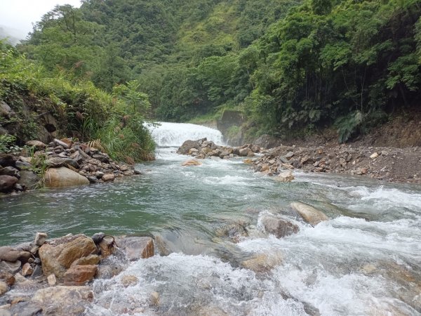 【新聞】東勢處呼籲勿前往野溪戲水 保護自身安全與溪流生態