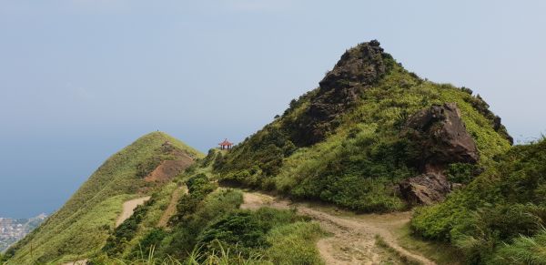 瑞芳無耳茶壺山，半平山386319