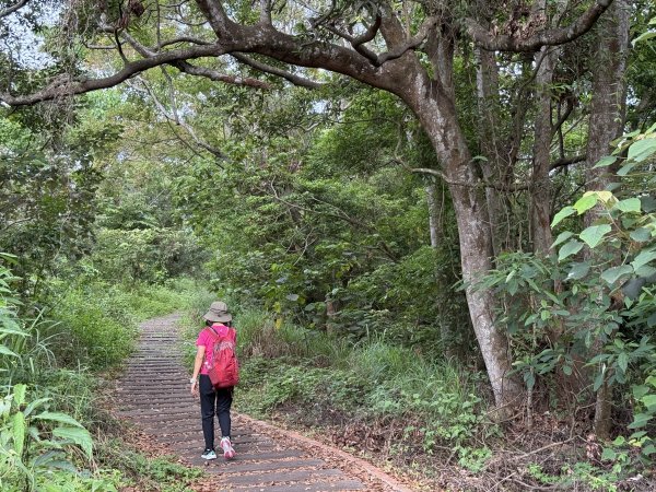 挑水古道附近古道串聯+藤山步道202505032784338
