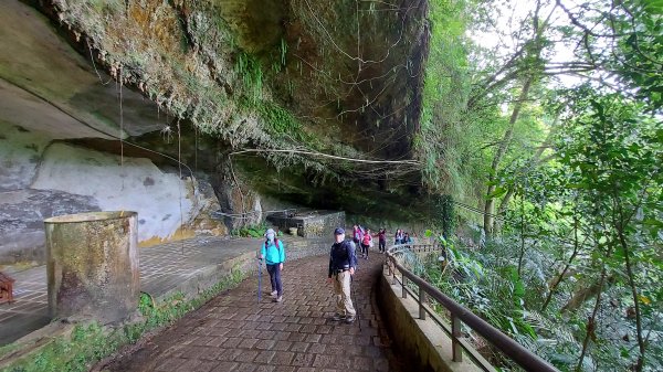 110/04/23戀戀桐花季：獅猿縱走、水濂橋步道1685906