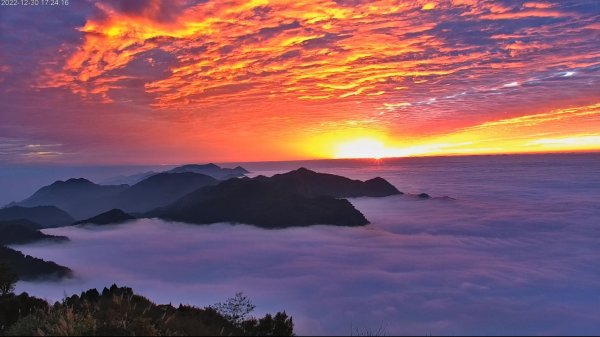 阿里山雲瀑&雲海/富士山直播即時視訊1975837