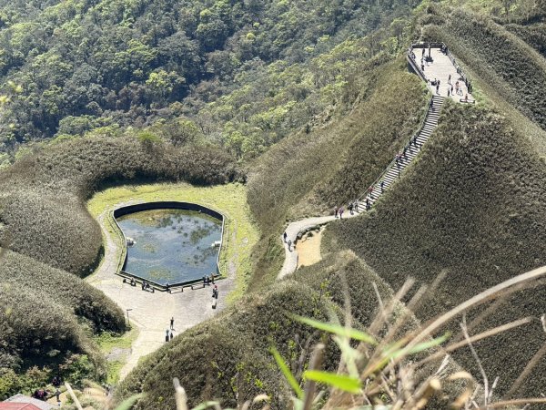 2025/03/21 聖母山莊 抹茶山 三角崙山2935134