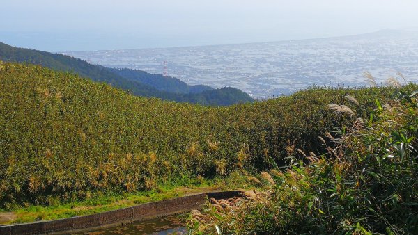 20181201宜蘭聖母山莊步道三角崙山505032