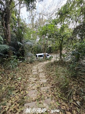 【高雄田寮】小百岳大崗山x大崗山磐龍峽谷步道3013141