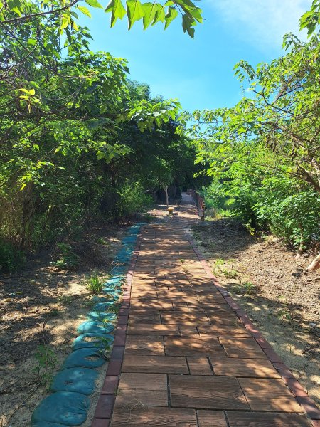 龍昇湖環湖步道+鄭漢步道202509132894809