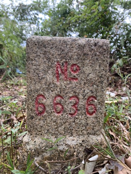 20250419屏東佳平山-虻彈山2767930