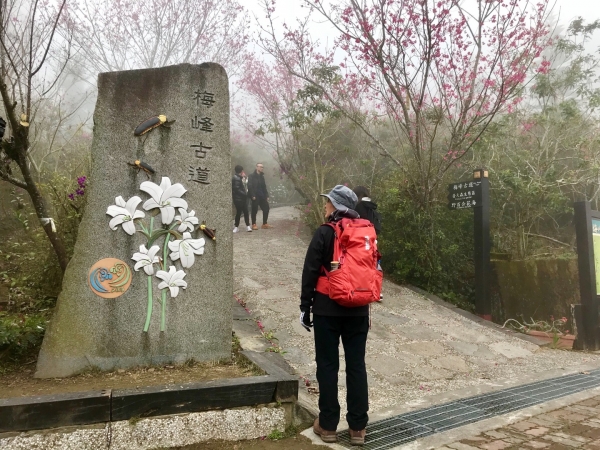 梅峰古道上竹子尖山264332