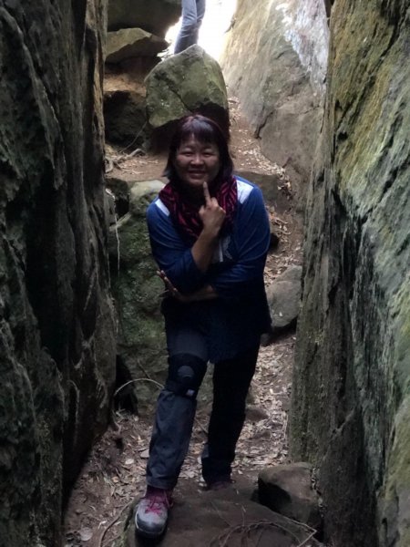 竹子尖山到獵鷹山473245