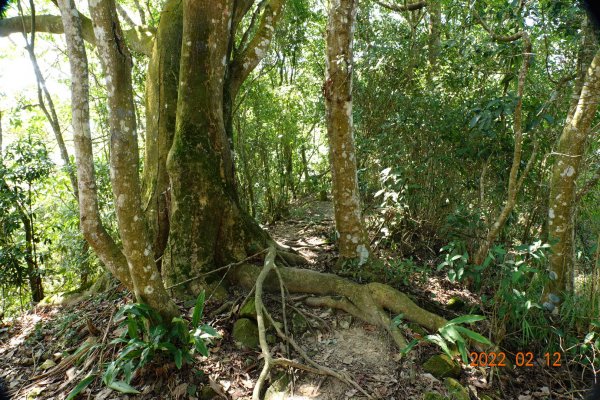 臺中 太平 暗影山1608970