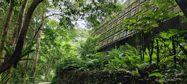 新竹內灣．馬胎古道202506212823534