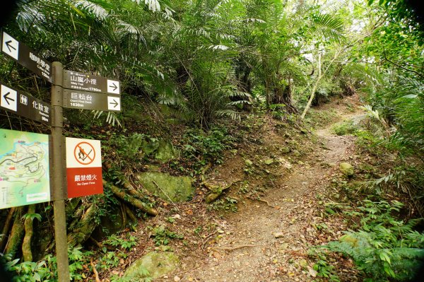 南投 仁愛 松風山3052498