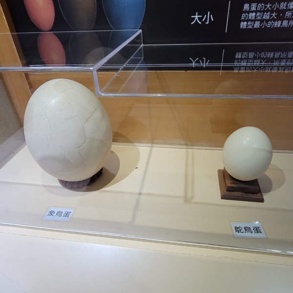 鳳凰谷步道1965925