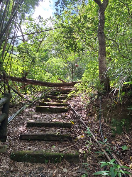 望龍埤三山O型202509272901704