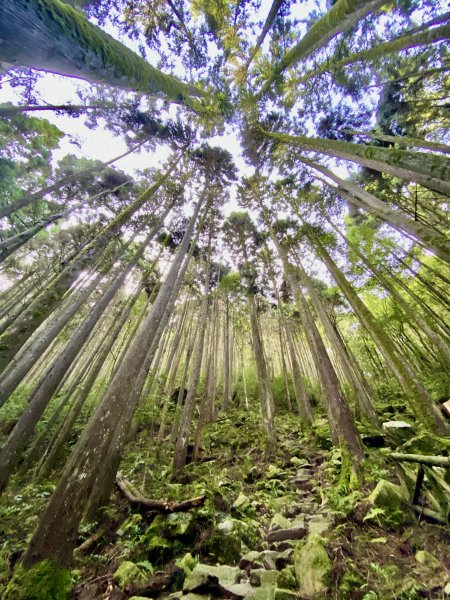 橫嶺山-沙蓮山-笛吹山連走    2022/7/51754687