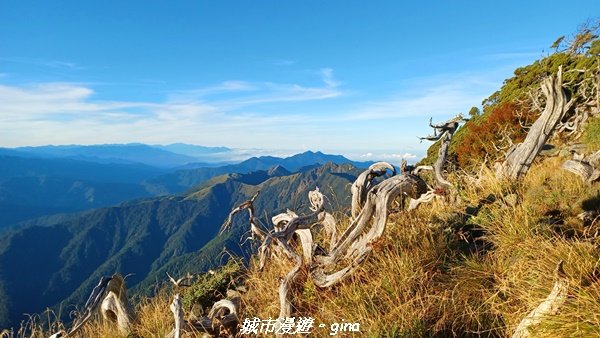 【台中和平】山迢路遠換壯闊山景。 No75百岳雪山東峰xNo2百岳雪山主峰 (兩天兩夜)2347676