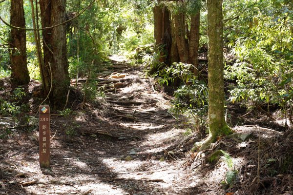 台中 和平 馬崙山2796959