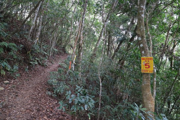 2017/12/02 上島山 (鳥嘴山)499861