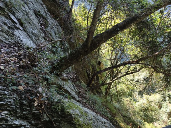 [玉山尋寶任務-07/12] 2025_0824 八通關雲龍瀑布步道2870631