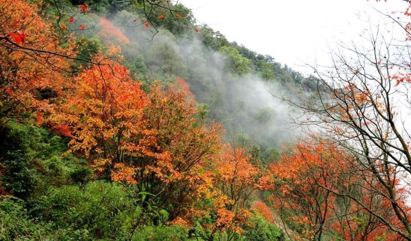 稍來山