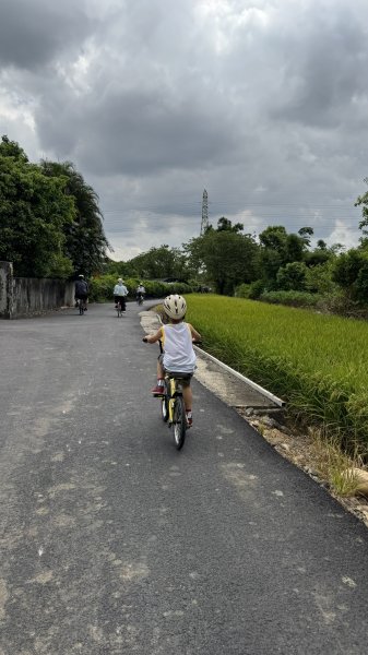 霄裡好風光運動樂悠遊2829058