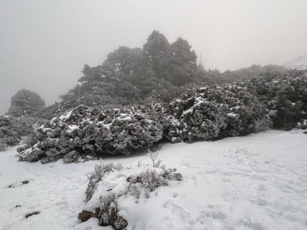 雪山薄雪輕健行1585795