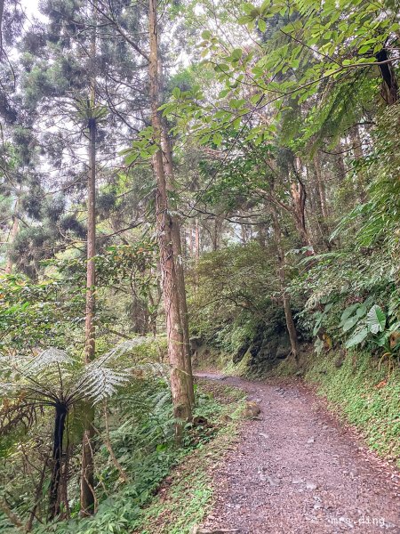 ＜新北市．三峽＞滿月圓國家森林遊樂區1004145