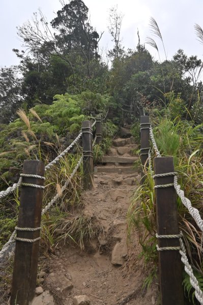 谷關七雄-白毛山2888240